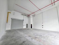 Ct Foodnex (D25), Factory #496456401